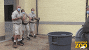 Snake Teamwork GIF by Brookfield Zoo