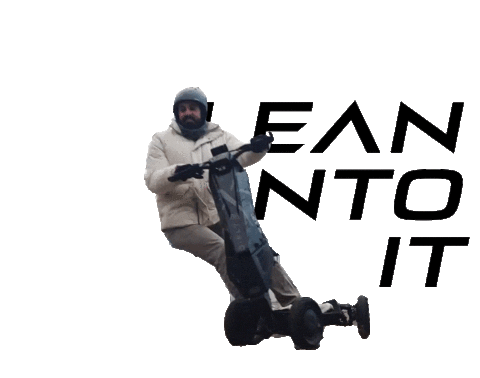 Dflysportscooter Sticker by D-Fly