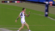 matthew parker goals GIF by AFL