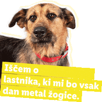 Kuza Igranje Sticker by Lidl Slovenija