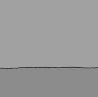 Flower Power Love GIF by Chippy the Dog