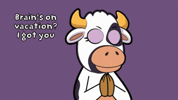 This Is Stupid I Got You GIF by VeeFriends