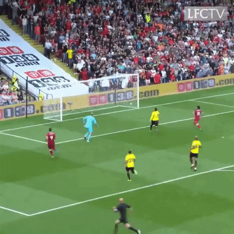 Premier League Football GIF by Liverpool FC