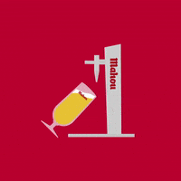 mahoubeer beer spain cerveza madrid GIF
