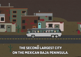 bus GIF by South Park 