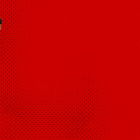 Bayer 04 Bundesliga GIF by Bayer 04 Leverkusen