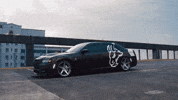 Car Goat GIF