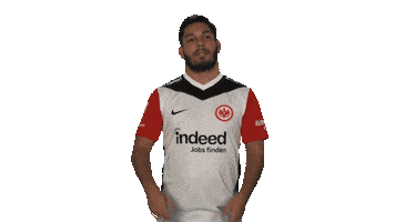 Oh No Frankfurt Sticker by Bundesliga