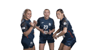 Emefka Sticker by SU Neckarsulm Handball Bundesliga