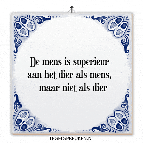 Humor Respect GIF by Tegelspreuken.nl