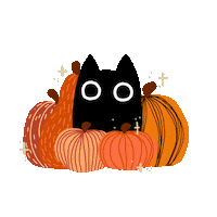 Cat Halloween Sticker
