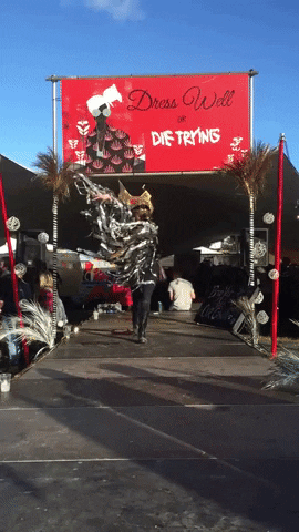 rachelkiernan giphygifmaker GIF