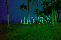 Hellateslas GIF by Telsa Owners East Bay