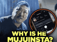Mujuinsta GIF