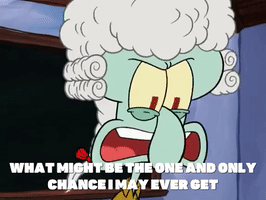 season 6 GIF by SpongeBob SquarePants