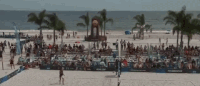 GIF by NCAA Championships