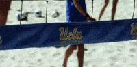 GIF by NCAA Championships