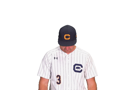 Uc Berkeley Baseball Sticker by Cal Athletics