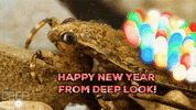 GIF by KQEDScience