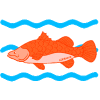 Water Swimming Sticker by Kühlbarra