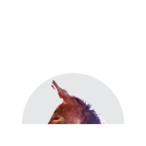 Maurythemule Sticker by Maury Alliance