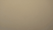 rock paper GIF