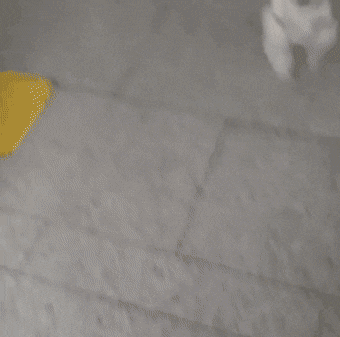 qwerpoiu22ppop giphyupload GIF