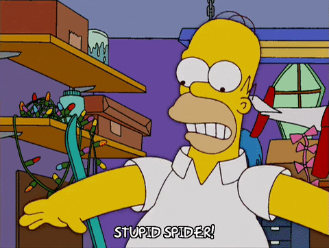 homer simpson episode 13 GIF