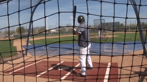 mkepanthers GIF by Kayla Schaffer