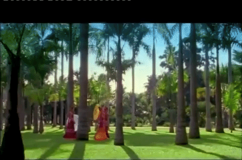 minorities shao shu min zu GIF
