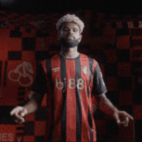 Premier League Celebration GIF by AFC Bournemouth