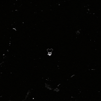 Skate Snowboarding GIF by Weaselrat