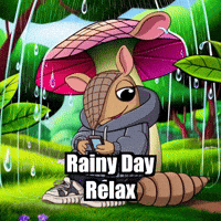 Rain Forest GIF by Chillo Dillo