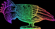 Key West GIF by green parrot