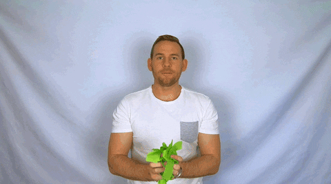 GIF by BUcoaching