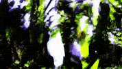 Art Design GIF by jorgemariozuleta