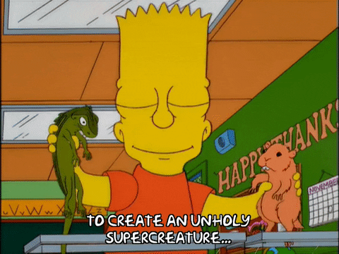 bart simpson hamster GIF