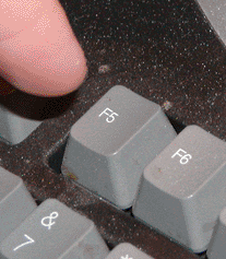 F5 GIF