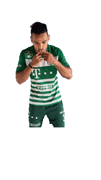 Ftc Fradi Sticker by Ferencvárosi Torna Club