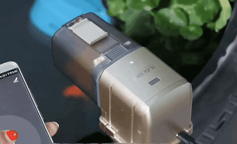 Animated GIF