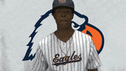 Cnbb21 GIF by Carson-Newman Athletics