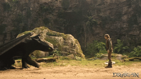 Friendship Dragons GIF by How To Train Your Dragon