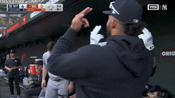 Good Times Baseball GIF by YES Network