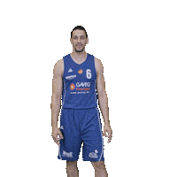 Bensheim Sticker by VfL Basketball