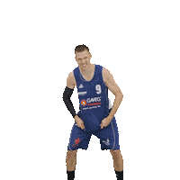 Bensheim Sticker by VfL Basketball