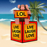 Enjoy Life Love GIF