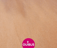 GIF by OUIBUS