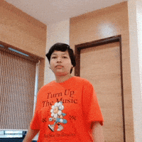 Dance Dancing GIF