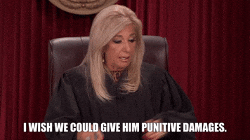 I Wish We Could Give Him Punitive Damages