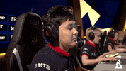 Esports Gamer GIF by BLAST